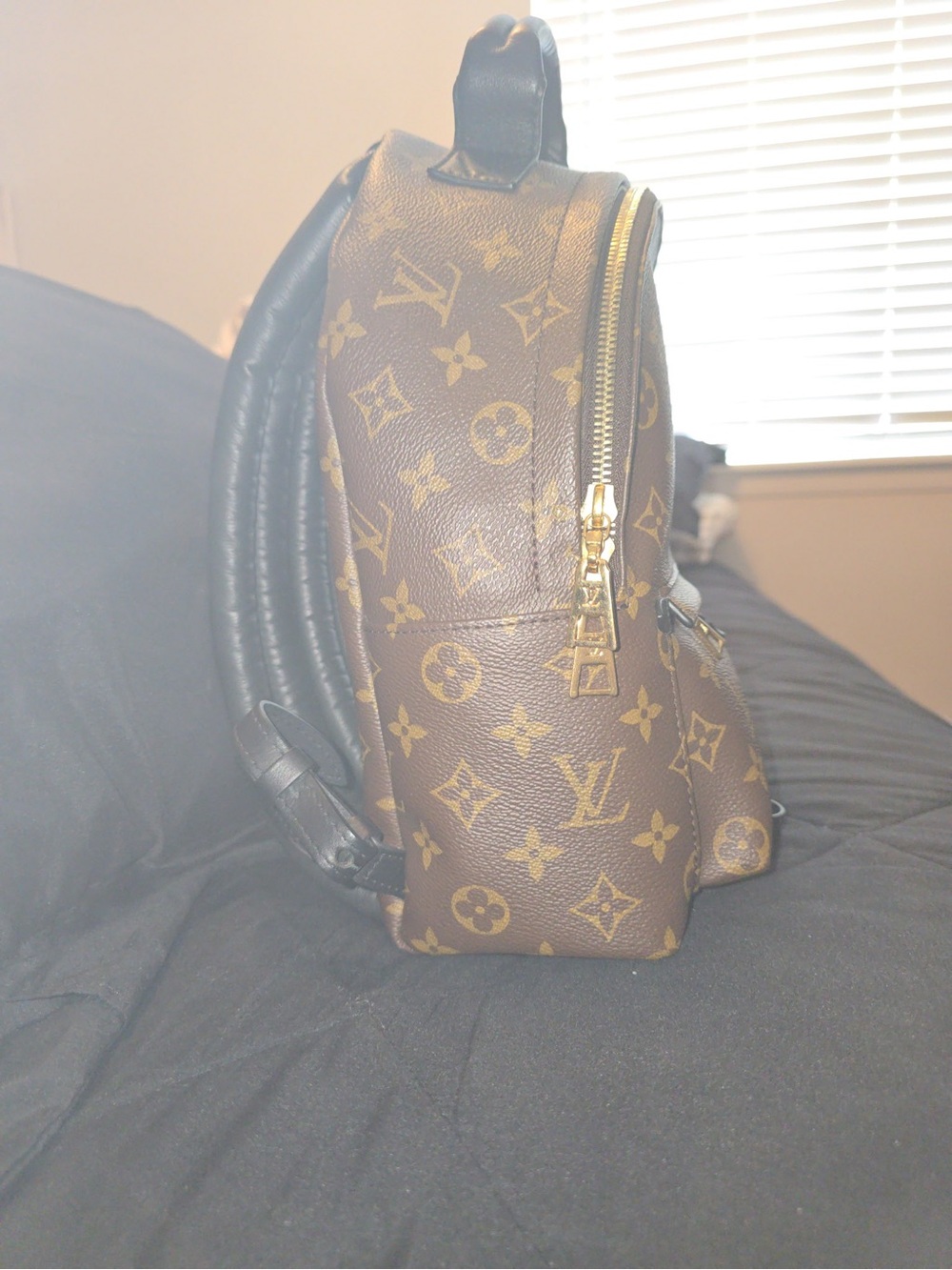 AUTHENTIC Louis Vuitton Palm Springs PM Backpack! - Picture 6 of 8